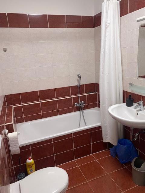 Roland Apartment Downtown - Garay Budapest Bagian luar foto